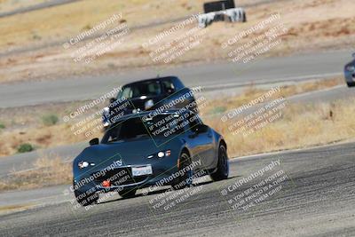 media/Mar-08-2025-Extreme Speed (Sat) [[4abb97269e]]/Blue/Turns 13  and  14 (Session 1)/